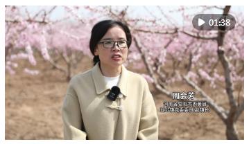 河南：“春日經濟”點燃消費市場新活力