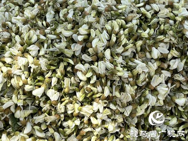 洋槐花味道雖美 但四類人群食用需謹慎
