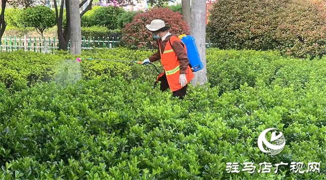  示范區(qū)綜合執(zhí)法大隊：開展病蟲害防治 筑牢園林安全屏障