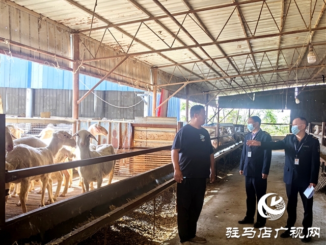 確山縣疾控中心：開展職業(yè)性布魯氏菌病防控專項(xiàng)監(jiān)督