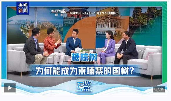 互鑒丨雙向奔赴 真心澆灌 中柬“友誼之樹(shù)”根深葉茂