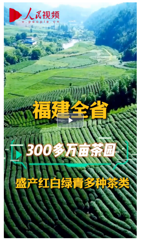 何以中國｜習近平的閩茶緣
