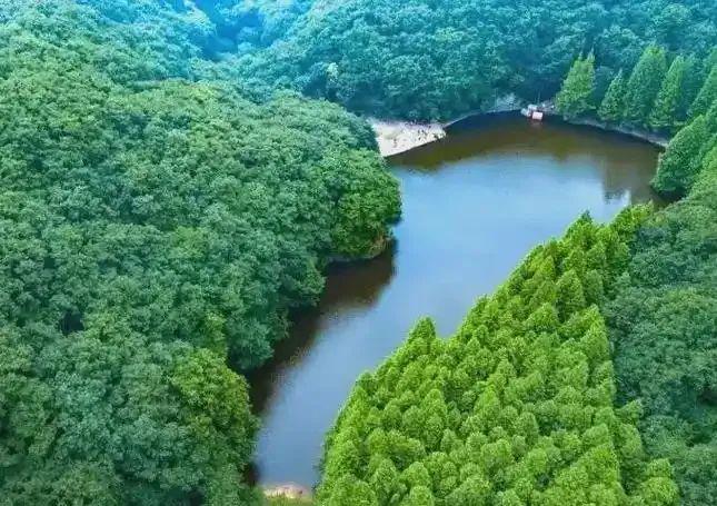 免票！河南近期熱門景區(qū)優(yōu)惠活動(dòng)匯總