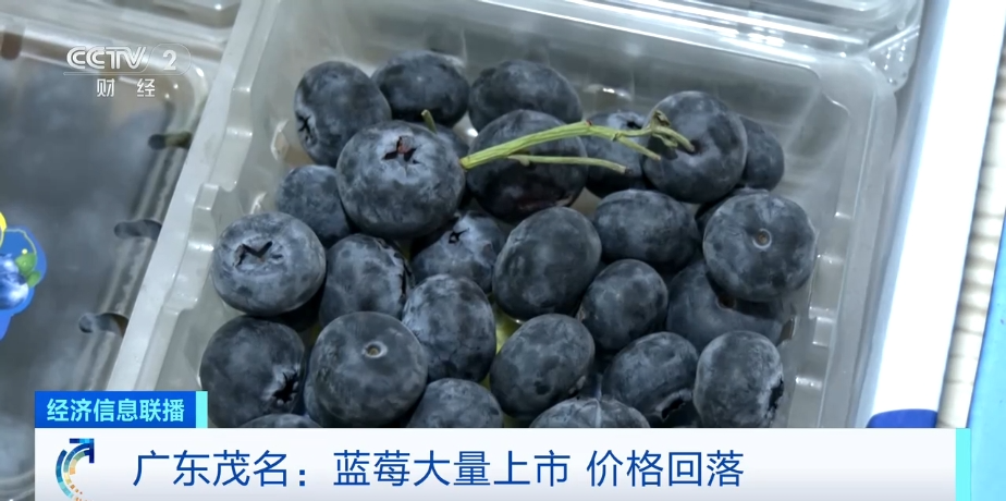 藍莓價格“腰斬”！每天吃一盒會發(fā)生什么？皮膚真的會變白嗎？