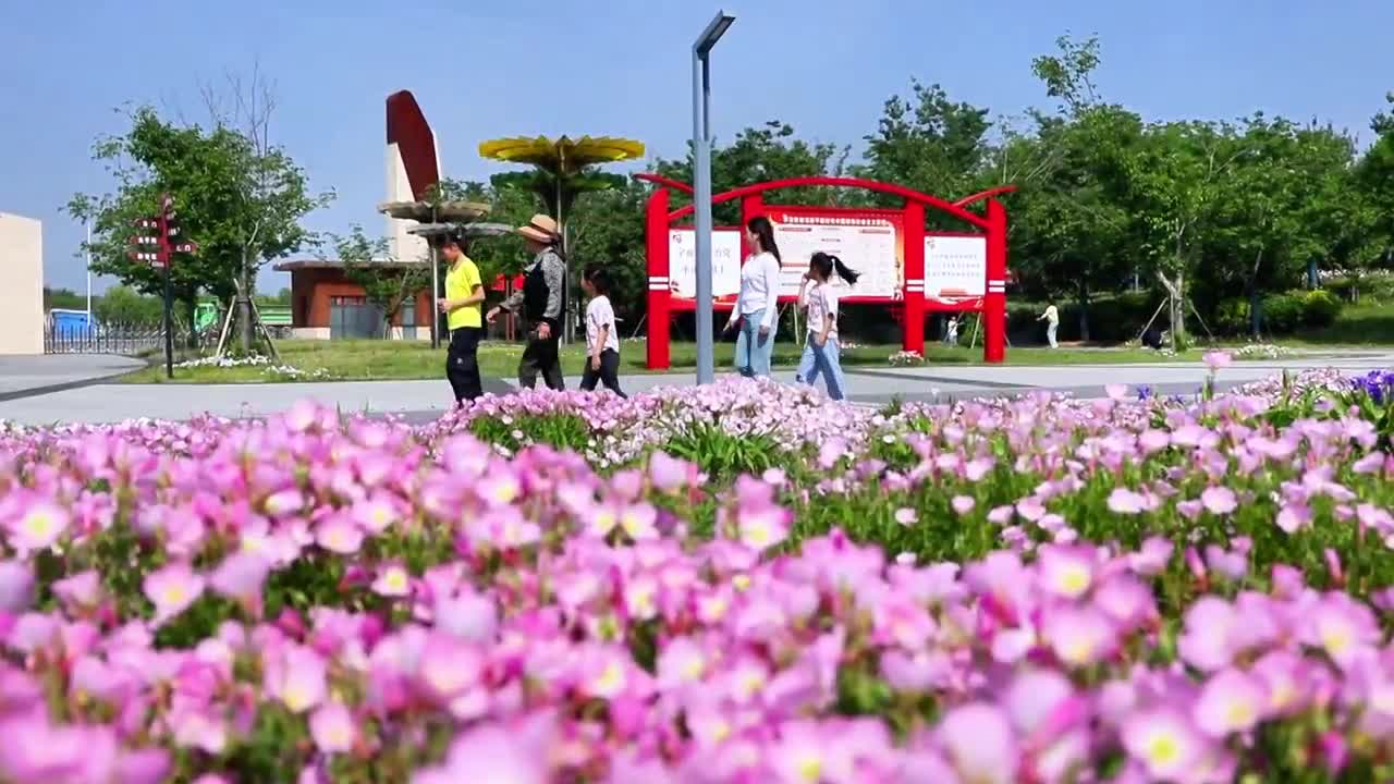 【大美天中】正陽(yáng)縣：芳菲四月醉美春光 植物園夢(mèng)幻花海引客來
