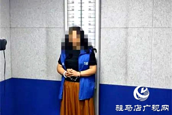 平輿縣人民法院：破曉而行，集中執(zhí)行持續(xù)“升溫”