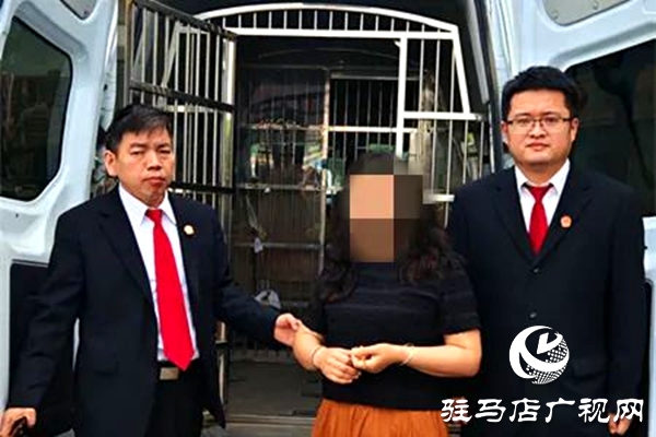 平輿縣人民法院：破曉而行，集中執(zhí)行持續(xù)“升溫”