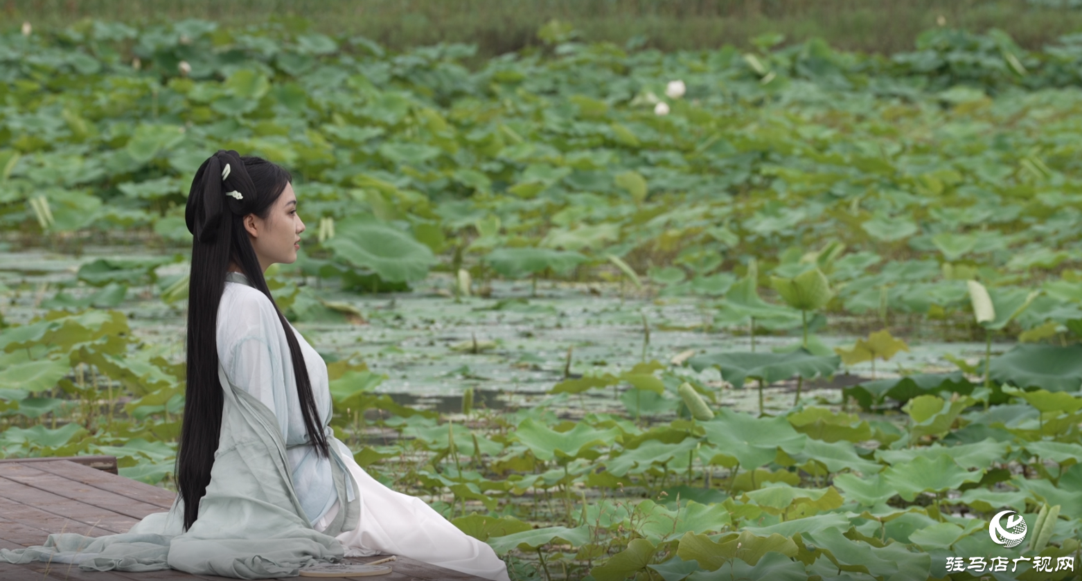 初夏：描繪時(shí)光的溫柔畫(huà)卷