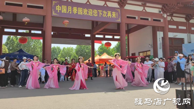 泌陽(yáng)彩帶舞龍隊(duì)“舞”進(jìn)南陽(yáng)月季園 共赴文化交流之約