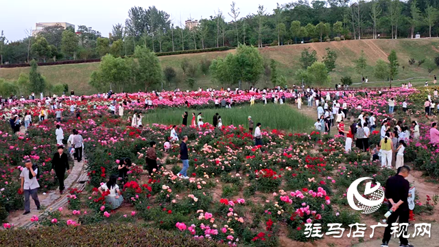 綠意蔥蘢花滿城！確山縣住建局精心打造“城市大花園”
