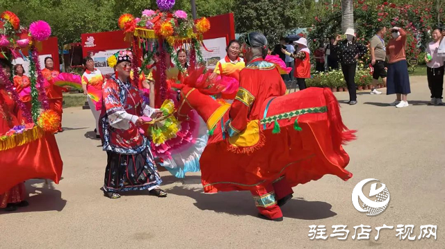 泌陽(yáng)彩帶舞龍隊(duì)“舞”進(jìn)南陽(yáng)月季園 共赴文化交流之約
