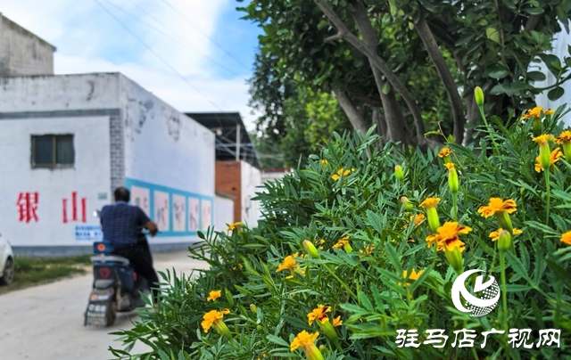 泌陽縣黃山口鄉(xiāng)：宜居鄉(xiāng)村宜共建，美好生活?yuàn)^斗來