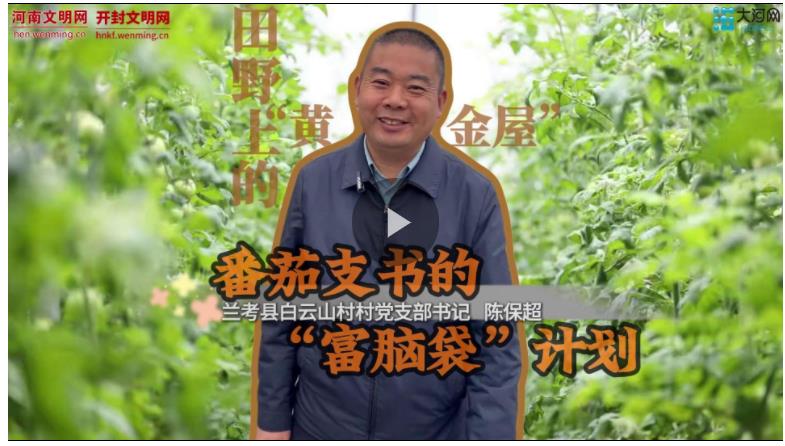 田野上的“黃金屋”丨番茄支書的“富腦袋”計劃