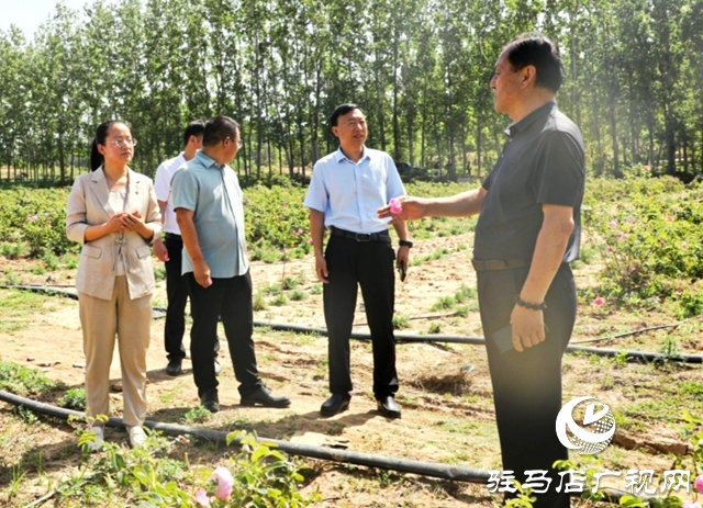 泌陽：黨建引領(lǐng)促振興 “紅色引擎”譜新篇