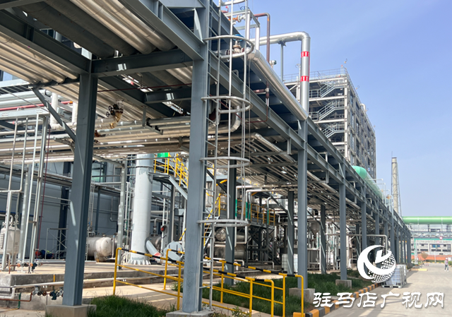 河南立諾制藥：深耕頭孢類原料藥研發(fā) 助推中國藥谷崛起