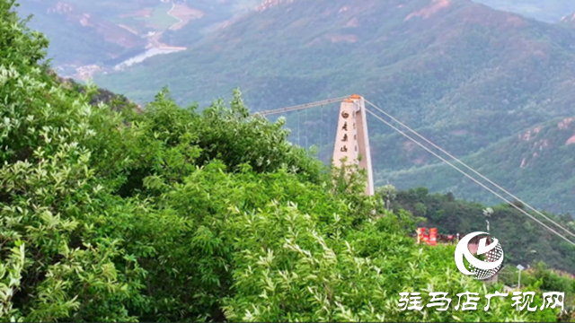 母親節(jié)期間 駐馬店老樂山景區(qū)推出“女性免費(fèi)游”活動