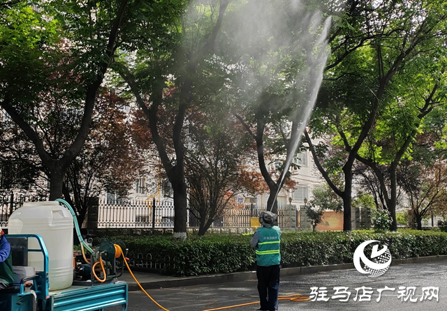 駐馬店經(jīng)濟開發(fā)區(qū)：開展蚜蟲專項防治 千棵行道樹“清蟲煥綠”
