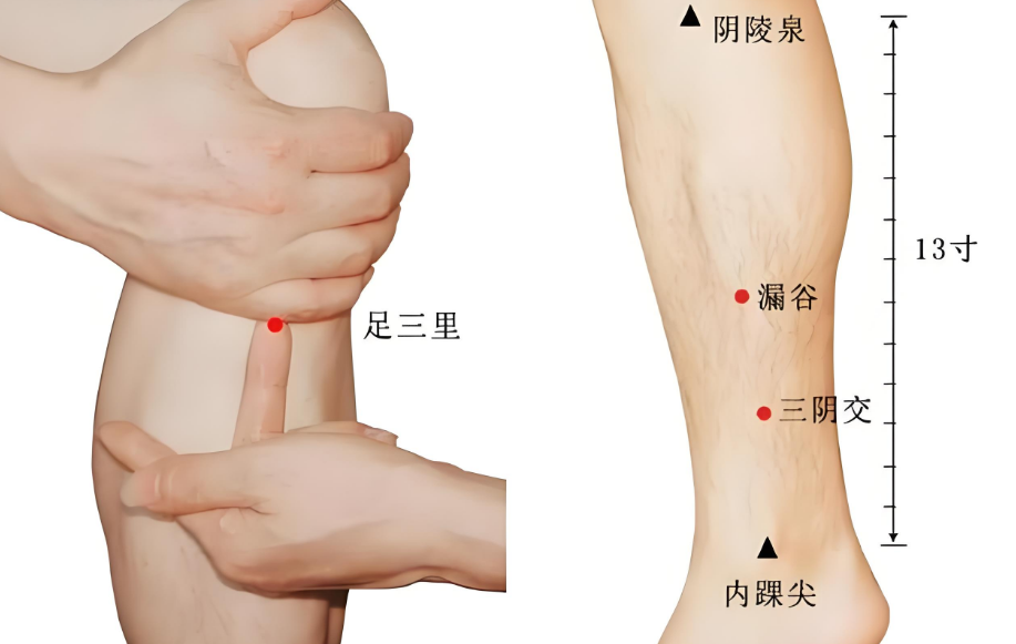 春夏交替易疲勞，4件事養(yǎng)好精力