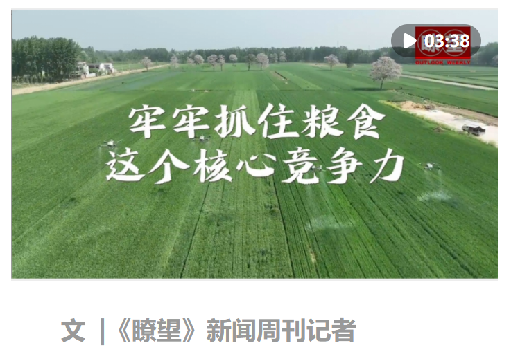 瞭望·治國理政紀(jì)事｜牢牢抓住糧食這個(gè)核心競爭力