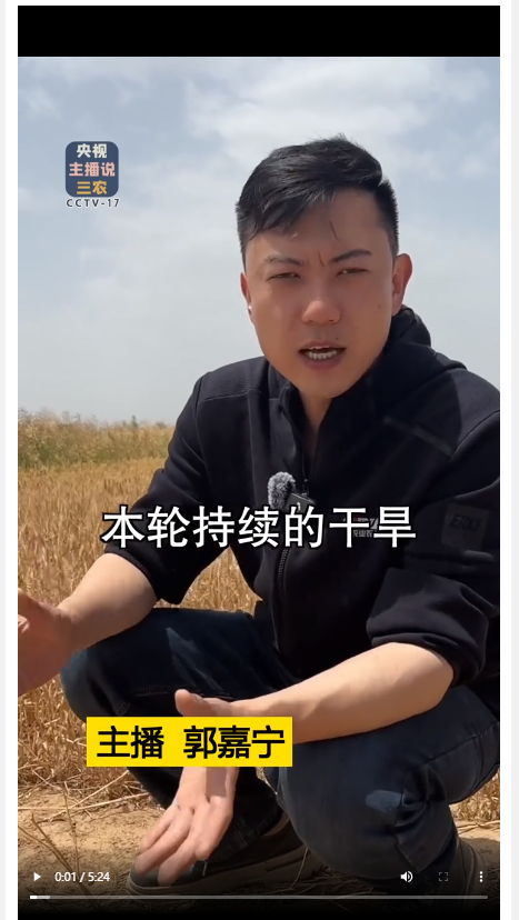 本輪干旱對(duì)河南小麥產(chǎn)量影響到底有多大？總臺(tái)記者深入河南麥田實(shí)地探訪