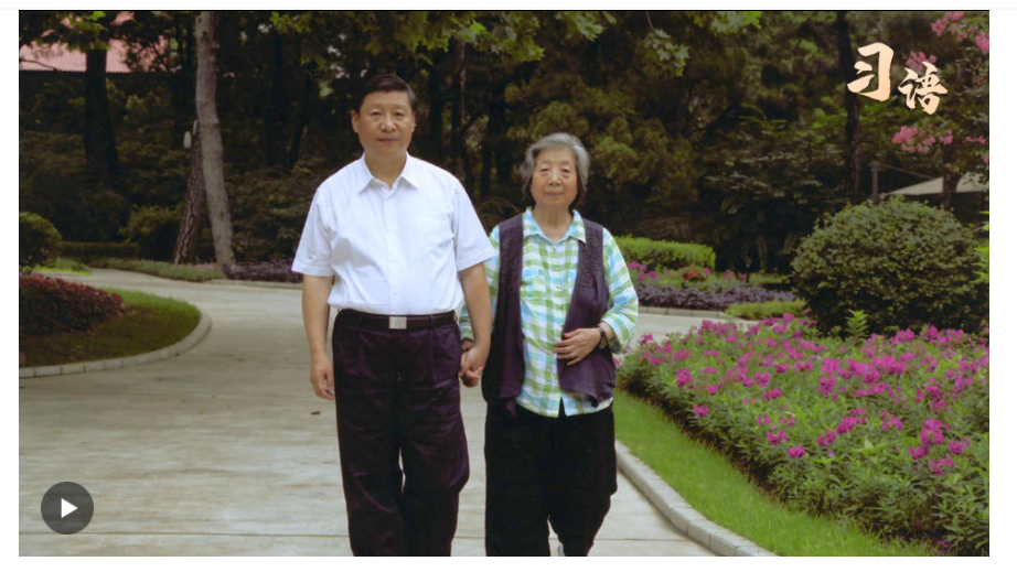 習(xí)語丨“誰言寸草心，報得三春暉”