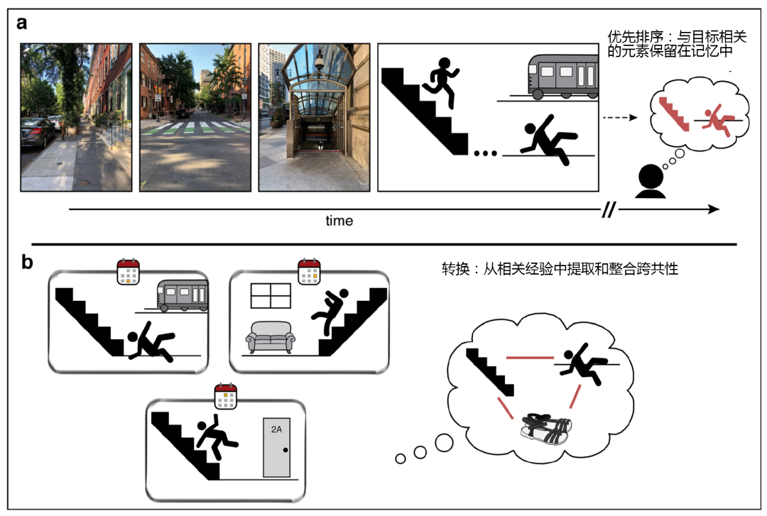 警惕！6個(gè)常見習(xí)慣，正在悄悄“偷走”你的記憶力