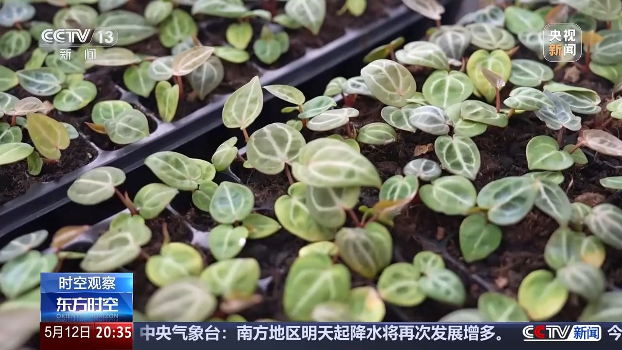 花錢開(kāi)心 今天你“情緒消費(fèi)”了嗎？
