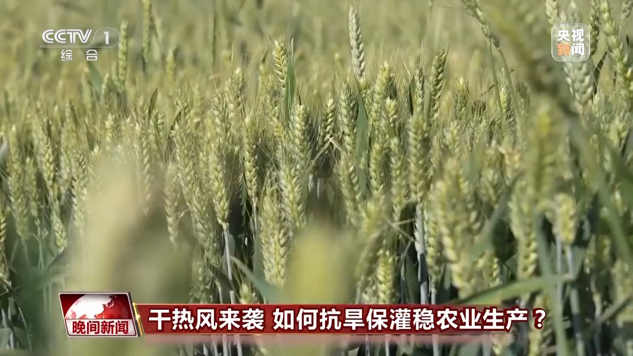 干熱風來襲 如何抗旱保灌穩(wěn)農(nóng)業(yè)生產(chǎn)？