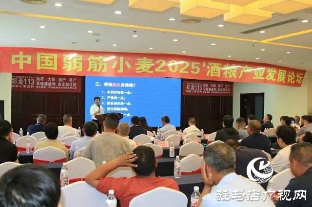  中國(guó)弱筋小麥2025'酒糧產(chǎn)業(yè)發(fā)展論壇在新蔡縣舉行