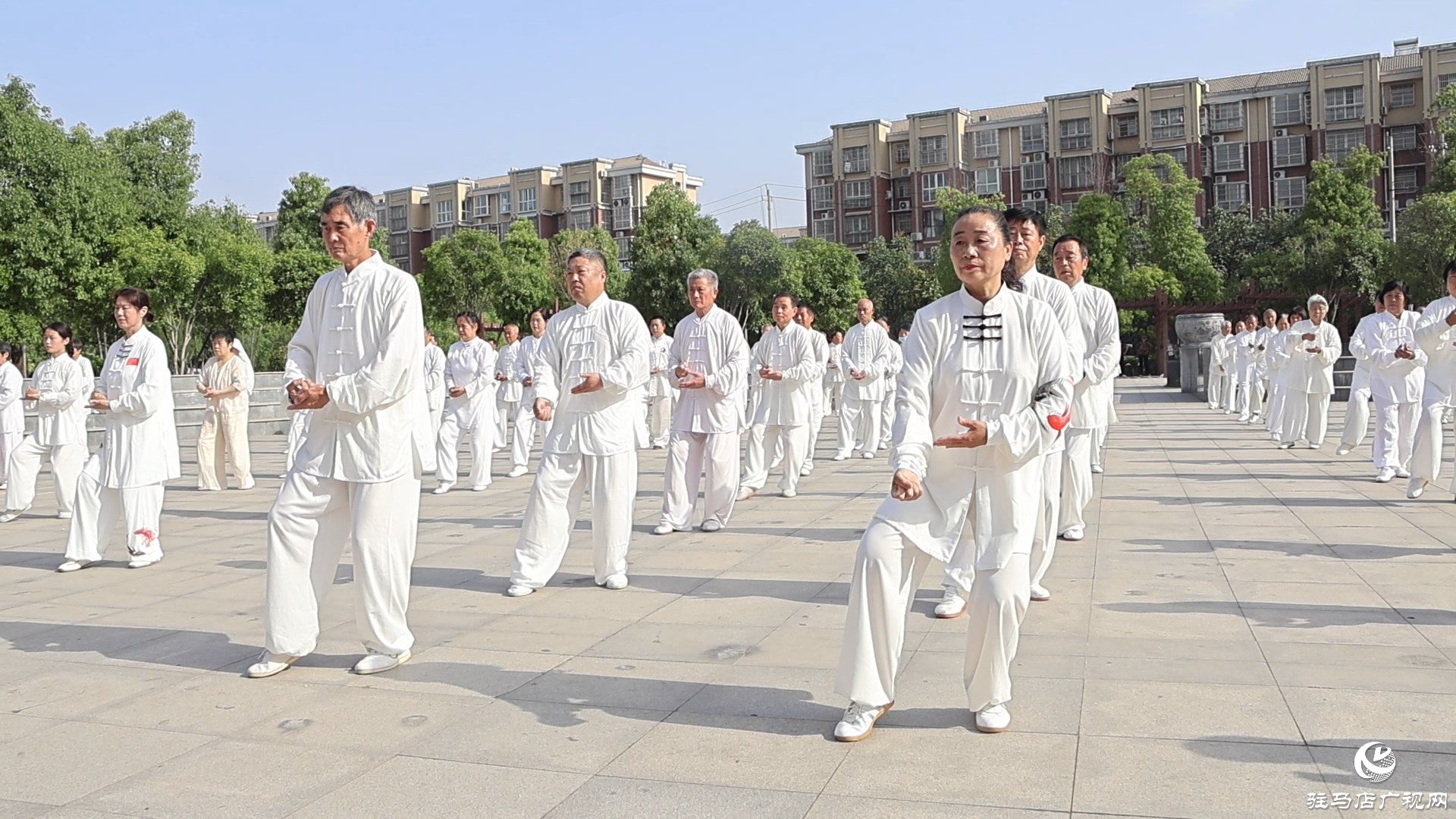 2025年全國(guó)“5.19”太極拳大聯(lián)動(dòng)（正陽(yáng)分會(huì)場(chǎng)）活動(dòng)舉行