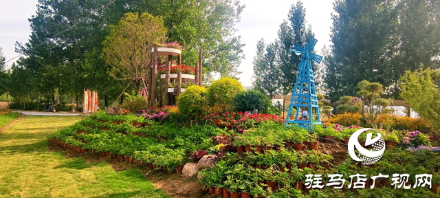駐馬店驛城區(qū)魏莊村“天邊花海”即將啟幕 打造豫南文旅新地標