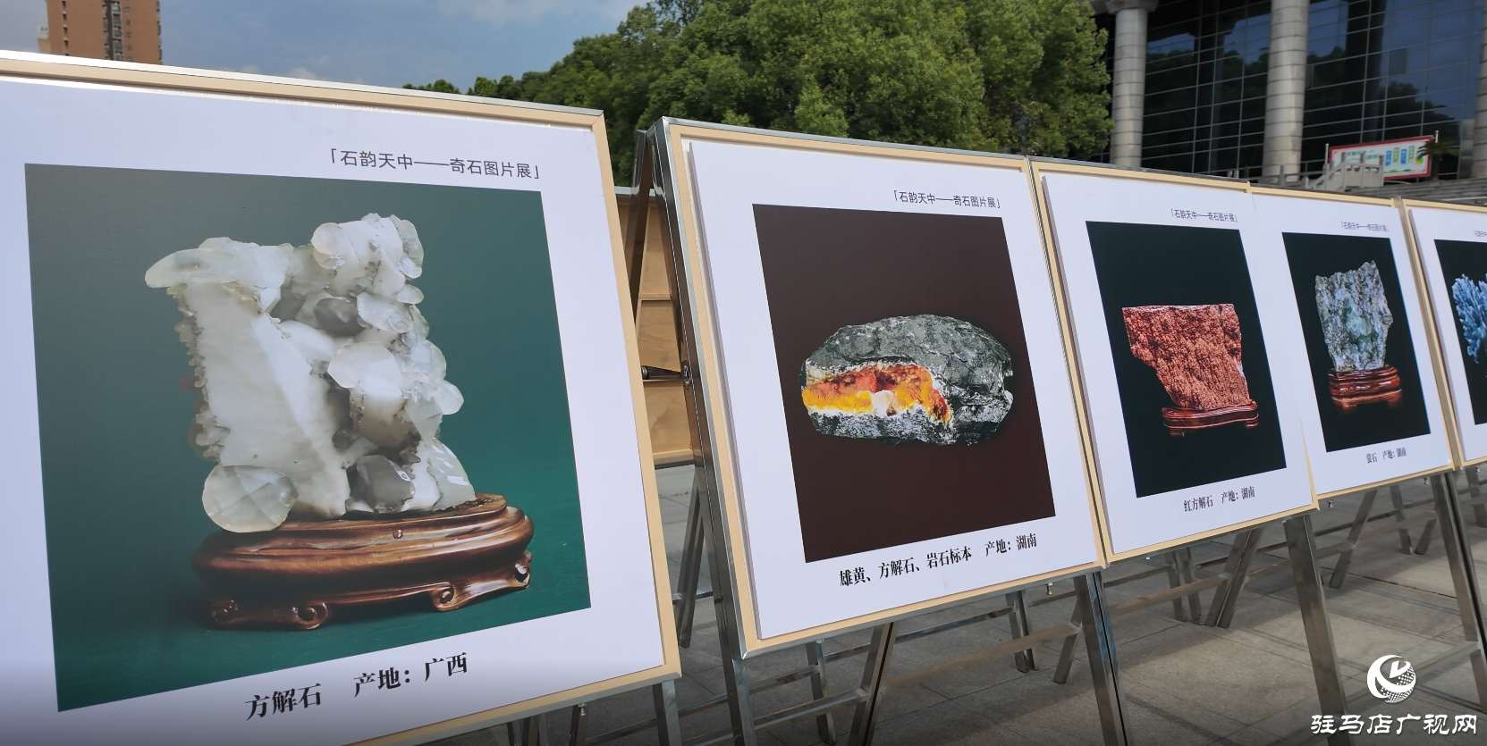 2025駐馬店文化藝術(shù)進(jìn)校園活動(dòng)啟動(dòng)