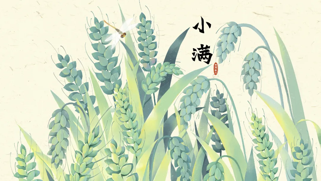 今日小滿：小得盈滿，萬物可期