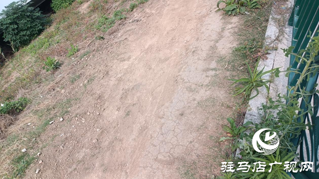 市民騎電動車擠圍欄缺口存隱患 駐馬店人民公園管理方將封堵