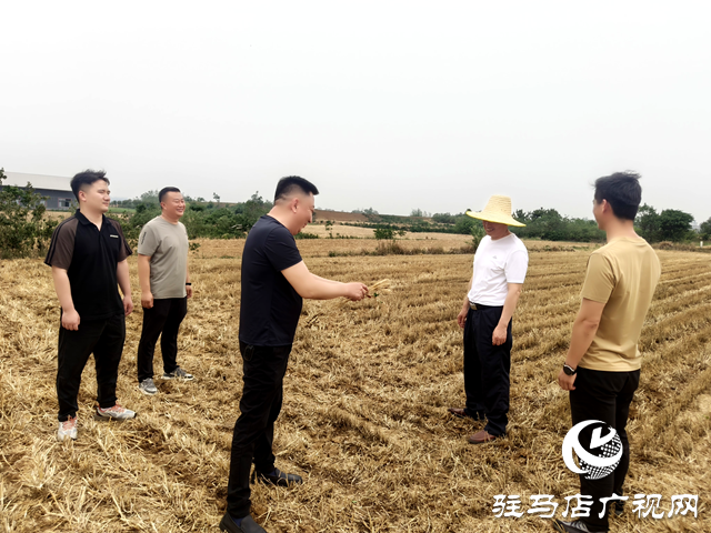 確山縣住建局：推進秸稈禁燒宣傳 織密禁燒防護網(wǎng) 
