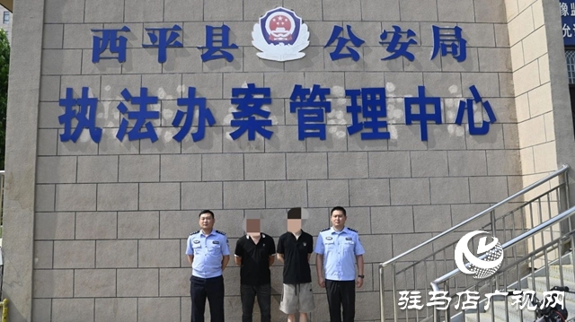  深夜張貼“小廣告” 西平警方抓獲2人