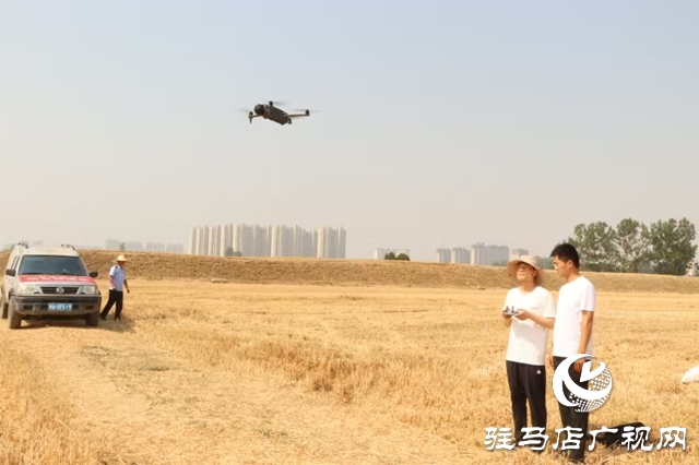  關(guān)王廟鄉(xiāng)開展“三夏”麥?zhǔn)辗阑鹦麄骱脱膊橹卫砉ぷ? /></a></p>
<p>截止目前，已懸掛橫幅130余條，張貼致農(nóng)民朋友的一封信500余張、發(fā)放宣傳彩頁9000余份，發(fā)動(dòng)黨員干部200余人，做到全方位、廣角度、多形式宣傳和巡查，營造了全鄉(xiāng)“不能燒、不敢燒、不想燒”的濃厚氛圍。下一步，關(guān)王廟鄉(xiāng)將持續(xù)凝聚強(qiáng)大合力，全力以赴保障夏糧顆粒歸倉。</p>
      <!--ecms.*-->
      <p class=
