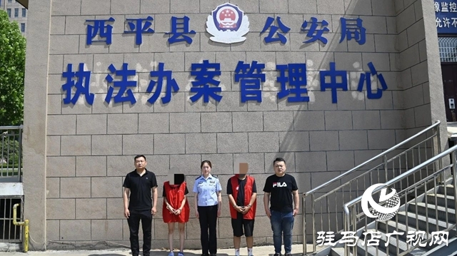  小案快偵顯擔(dān)當(dāng)!西平警方迅速破獲系列盜竊電車(chē)電瓶案