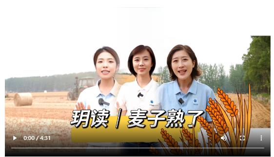玥讀｜麥子熟了