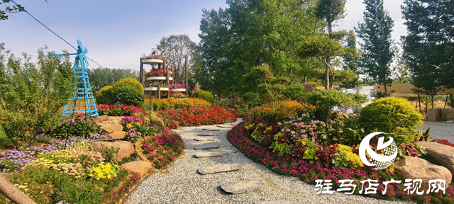 駐馬店驛城區(qū)魏莊村：百畝花?？楀\繡 文旅新篇引客來