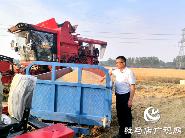 平輿縣辛店鄉(xiāng)：聞令而動 打響夏糧搶收搶種攻堅戰(zhàn)