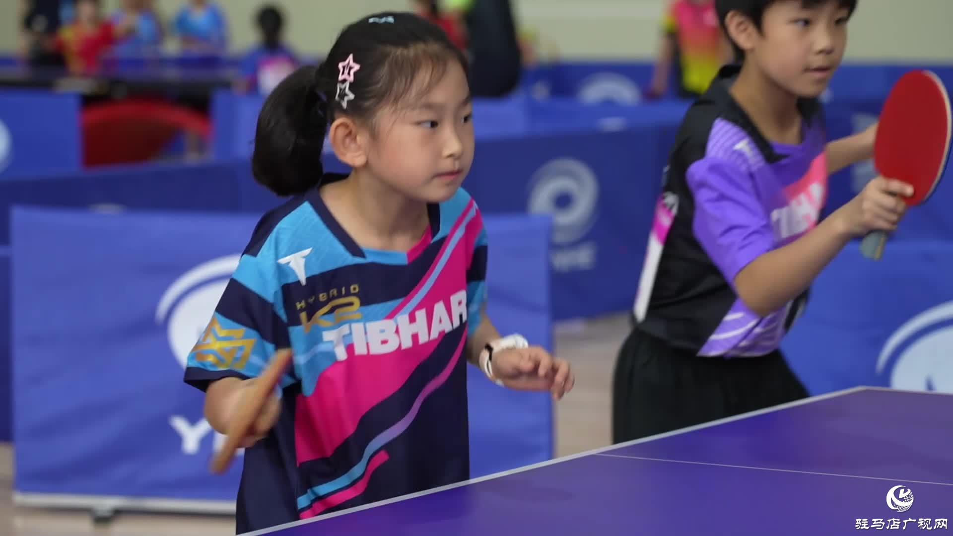 2025年河南省青少年乒乓球冠軍賽在駐馬店揮拍開賽