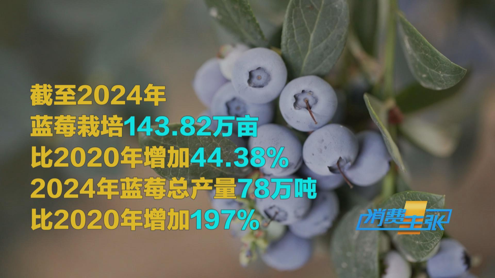 榴蓮價格走低 首批國產“樹上熟”榴蓮也將上市！口感如何？