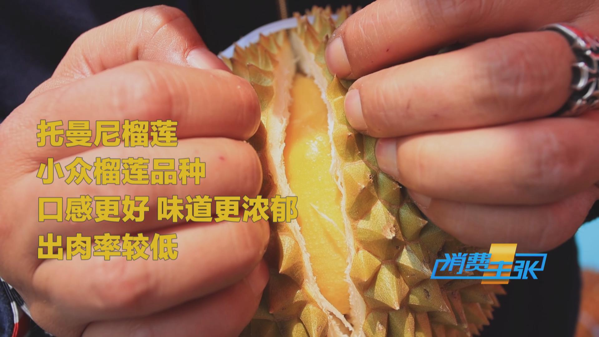 榴蓮價格走低 首批國產“樹上熟”榴蓮也將上市！口感如何？