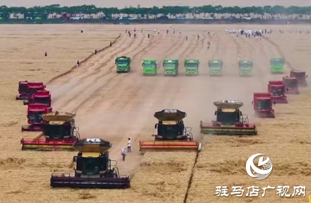 西平縣舉辦2025年小麥機(jī)收減損大比武活動現(xiàn)場會