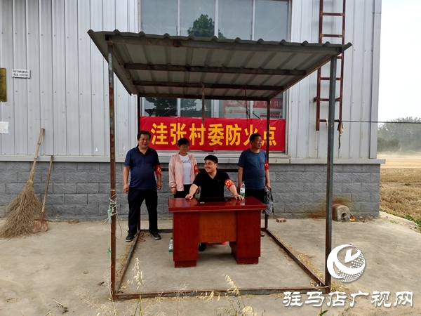 平輿縣楊埠鎮(zhèn)黨建引領聚合力：多方聯動搶農時 筑牢糧食安全線