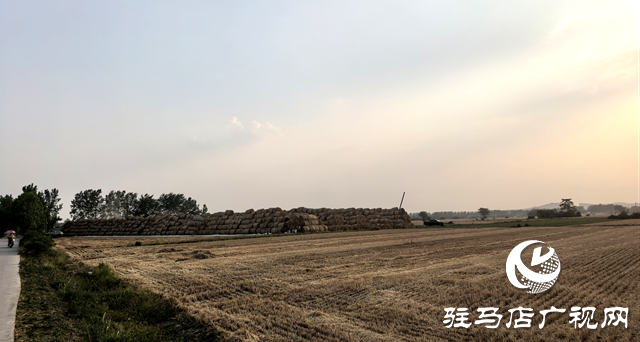 確山縣劉店鎮(zhèn)：科技助力夏收 干群共護麥田