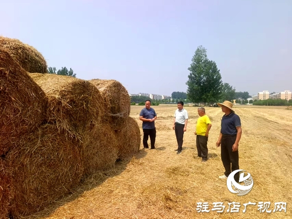 平輿縣東皇街道：變廢為寶 讓秸稈從“包袱”變“財富”