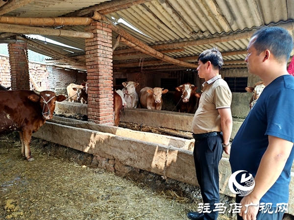 文明鄉(xiāng)風(fēng)潤沃土——平輿縣辛店鄉(xiāng)韓坡村獲評第七屆全國文明村鎮(zhèn)紀實