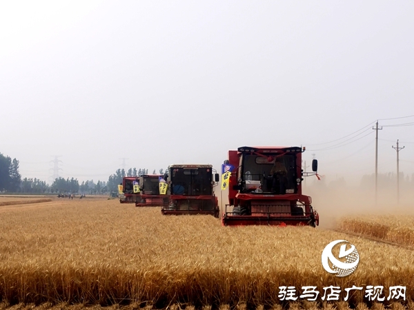 平輿縣開展2025年小麥機(jī)收減損大比武活動(dòng)    